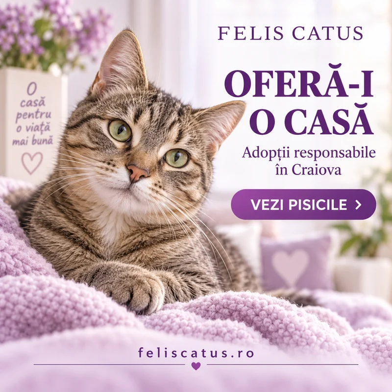 Publicitate — Felis Catus